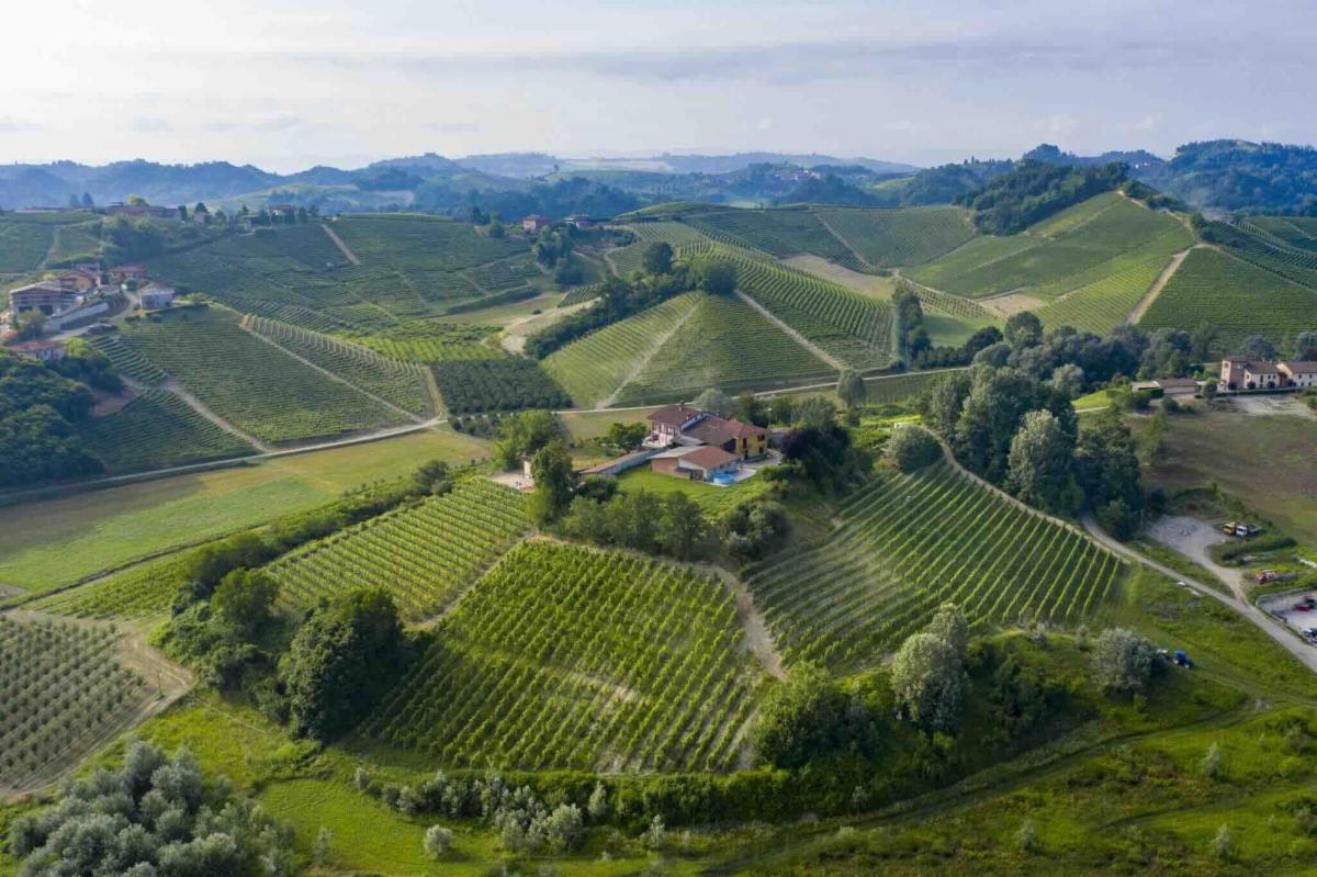 Barolo Vista